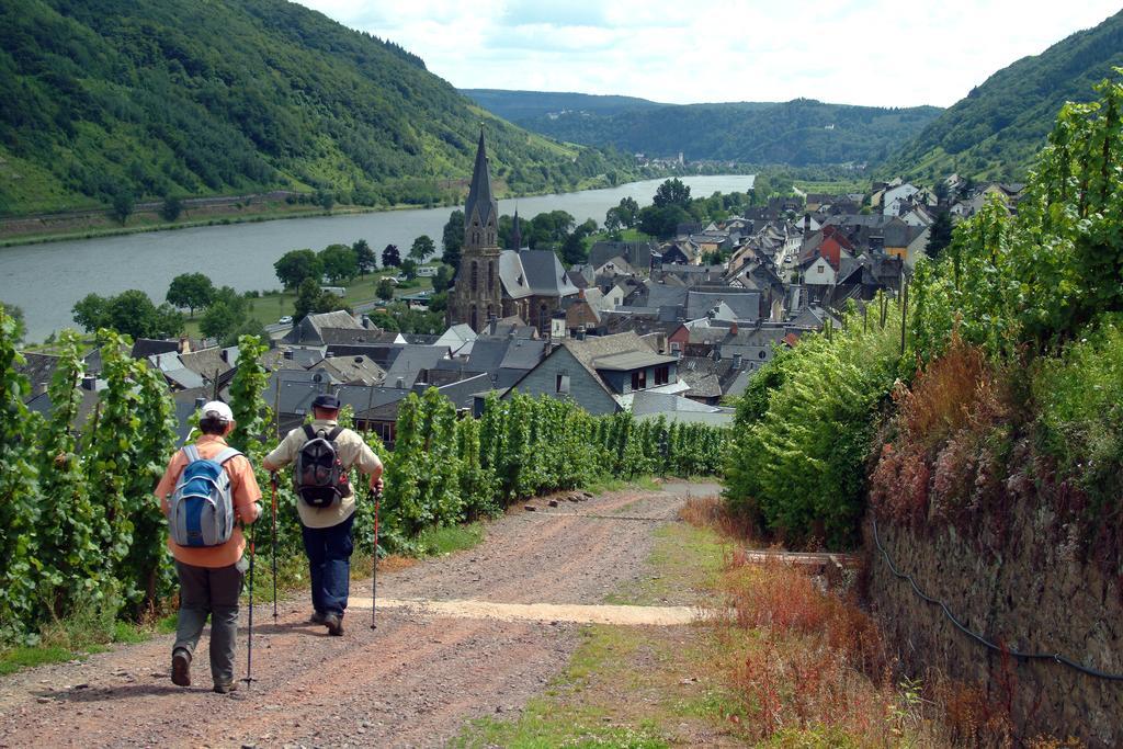 Wein- Und Gaestehaus St. Aldegundishof 圣阿尔德贡德 外观 照片