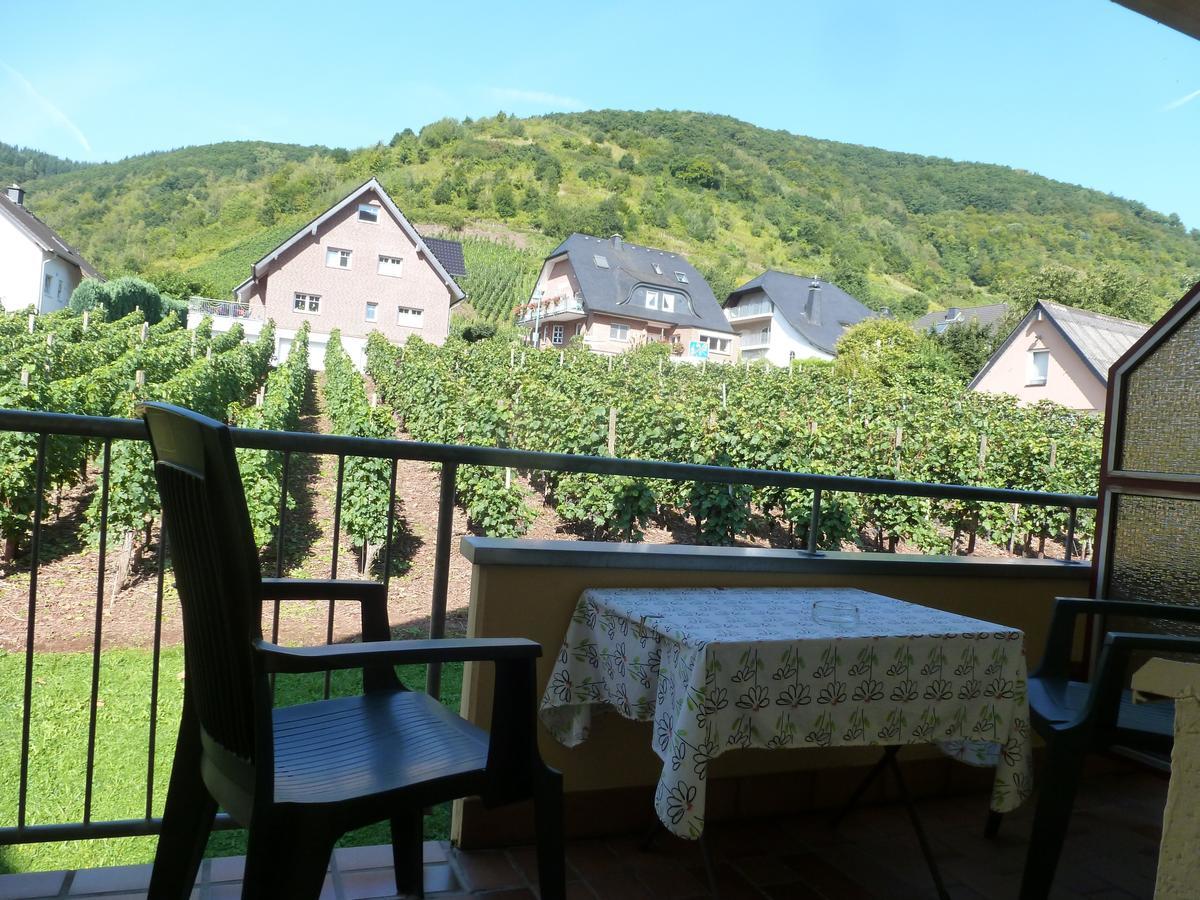 Wein- Und Gaestehaus St. Aldegundishof 圣阿尔德贡德 外观 照片